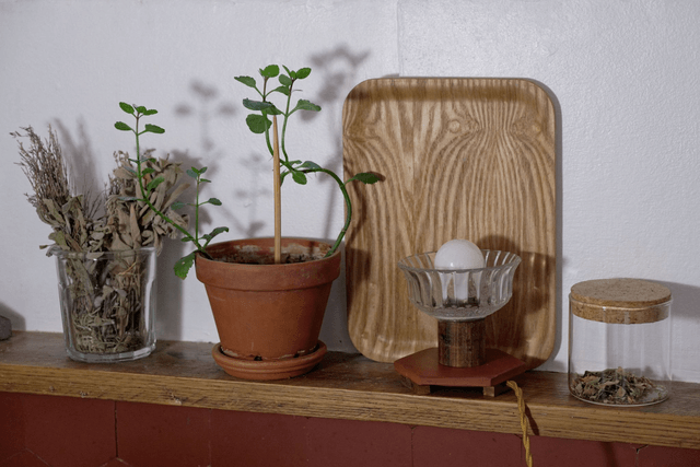 Lampe Stella Maris / Sauce tomettes